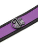 Plesur Neoprene Puppy Collar - Purple | Lavish Sex Toys