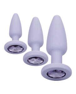 First Time Crystal Booty Kit - Purple | Lavish Sex Toys